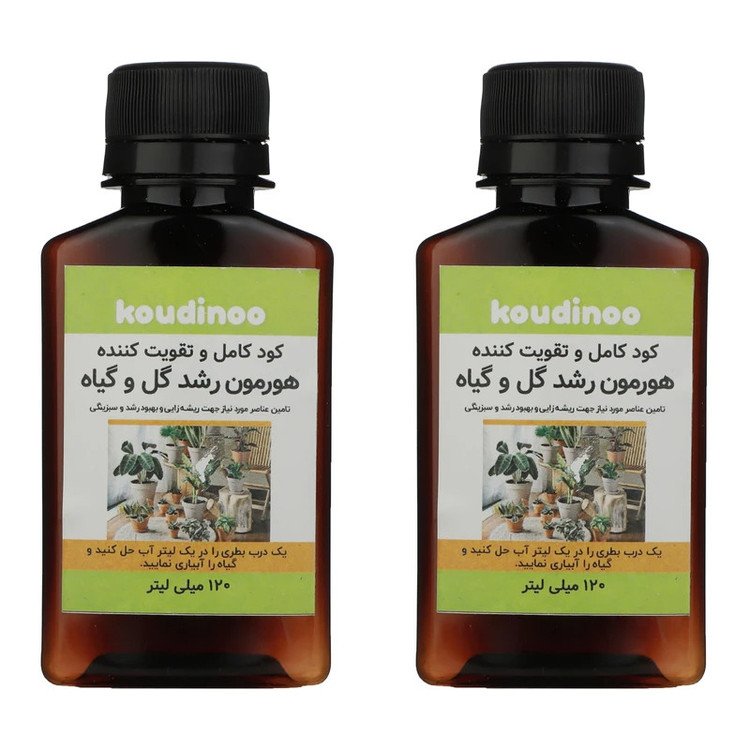 کود هورمون رشد گل و گیاه کودینو مدل Growth حجم 120 میلی لیتر بسته 2 عددی