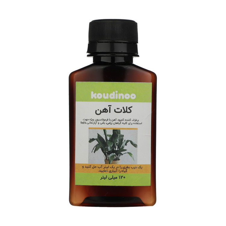 کود مایع کلات آهن کودینو مدل Fe پلاس حجم 120 میلی لیتر بسته 6 عددی