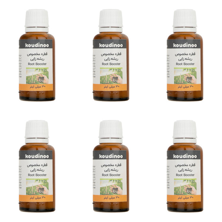 هورمون ریشه زایی کودینو مدل Root Booster حجم 30 میلی لیتر بسته 6 عددی