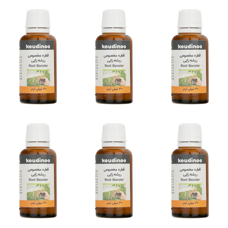 هورمون ریشه زایی کودینو مدل Root Booster  حجم 30 میلی لیتر بسته 6 عددی