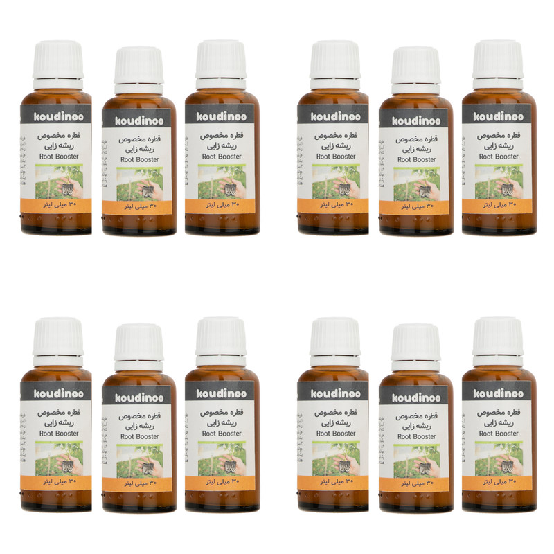 هورمون ریشه زایی کودینو مدل Root Booster  حجم 30 میلی لیتر بسته 12 عددی
