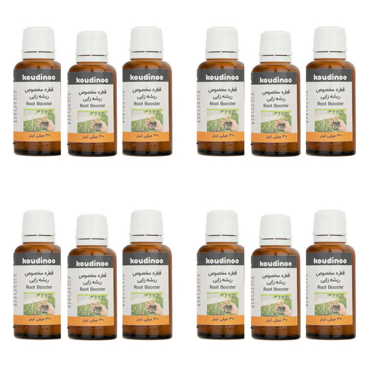 هورمون ریشه زایی کودینو مدل Root Booster حجم 30 میلی لیتر بسته 12 عددی